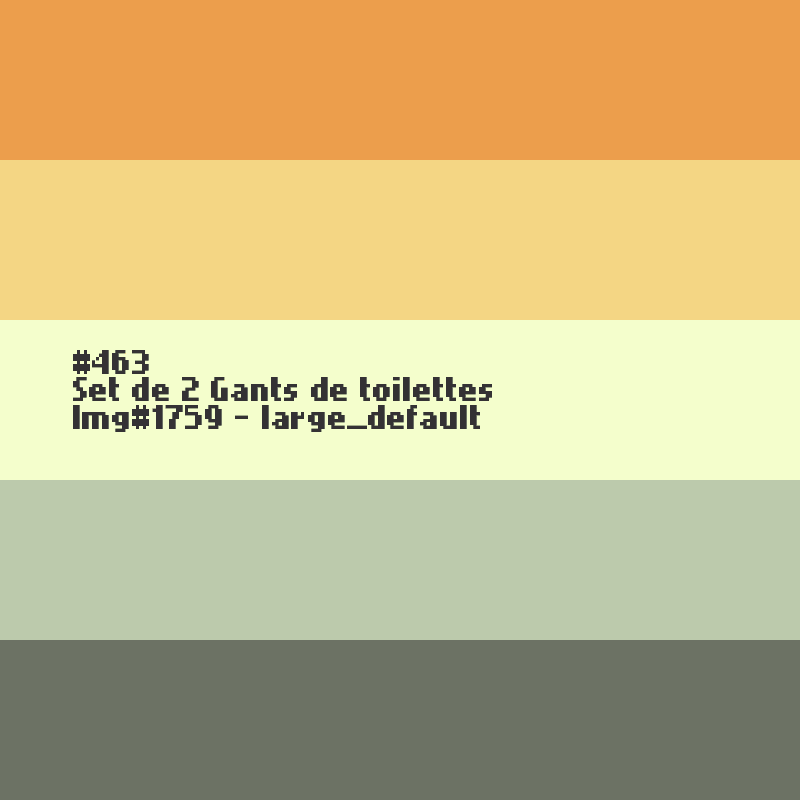 2 Gants de toilettes 