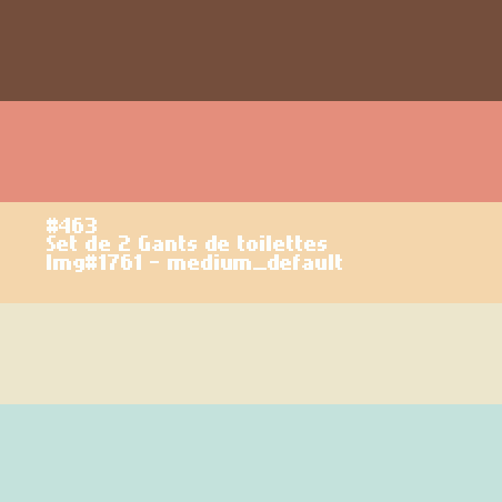 2 Gants de toilettes 