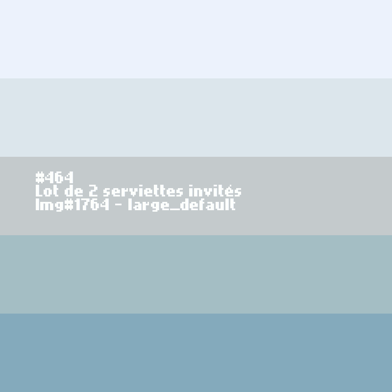 2 Gants de toilettes 'Anthracite'