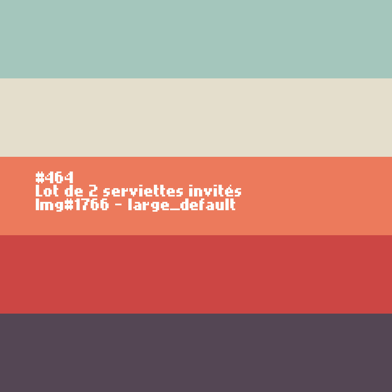 2 Gants de toilettes 'Anthracite'