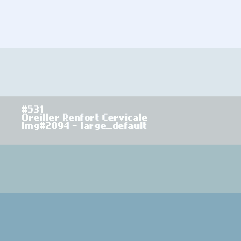 Oreiller Renfort Cervicale