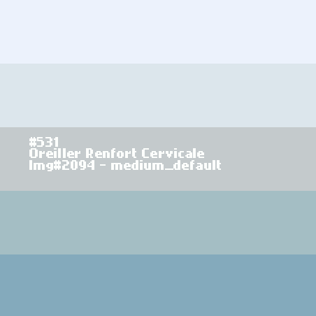 Oreiller Renfort Cervicale