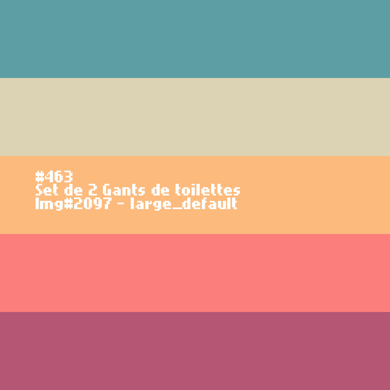 2 Gants de toilettes 