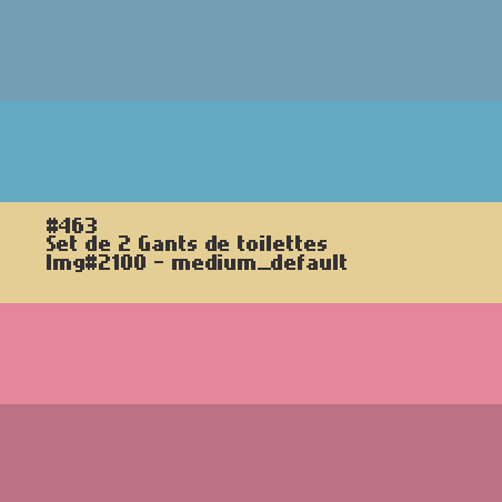 2 Gants de toilettes 