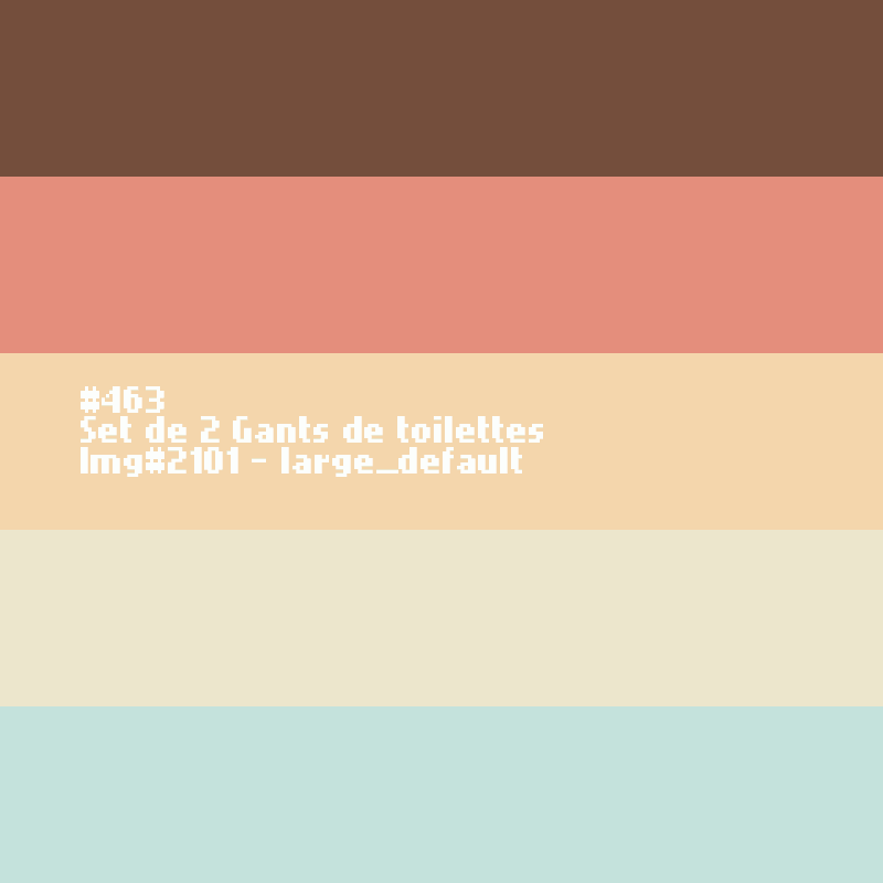 2 Gants de toilettes 