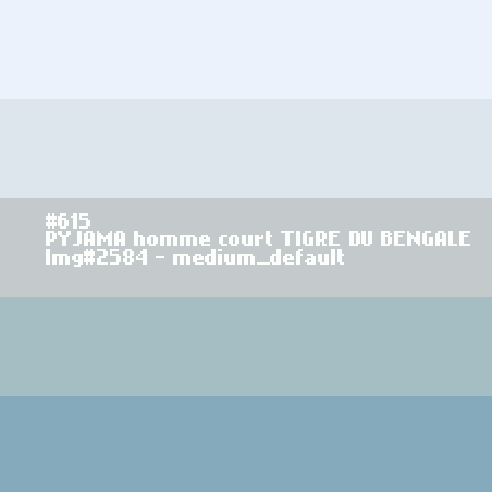 PYJAMA homme court Tigre du Bengale