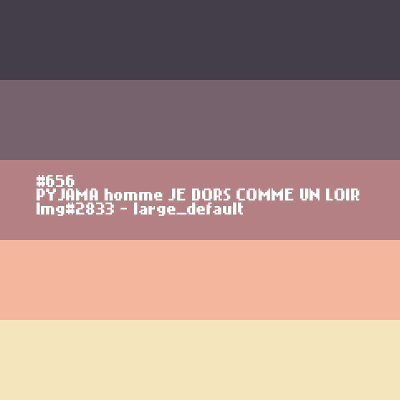 PYJAMA voor mannen JE DORS COMME UN LOIR