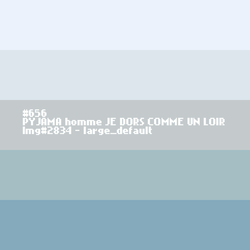 PYJAMA hiver homme JE DORS COMME UN LOIR