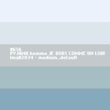 PYJAMA voor mannen JE DORS COMME UN LOIR