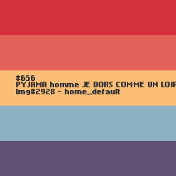 PYJAMA hiver homme JE DORS COMME UN LOIR