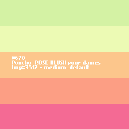 Poncho  blusch dames