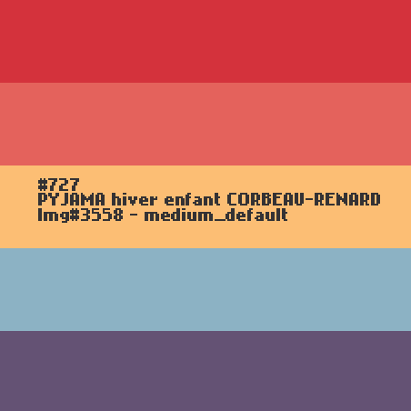 PYJAMA hiver enfant CORBEAU-RENARD