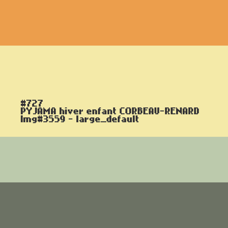 PYJAMA hiver enfant CORBEAU-RENARD