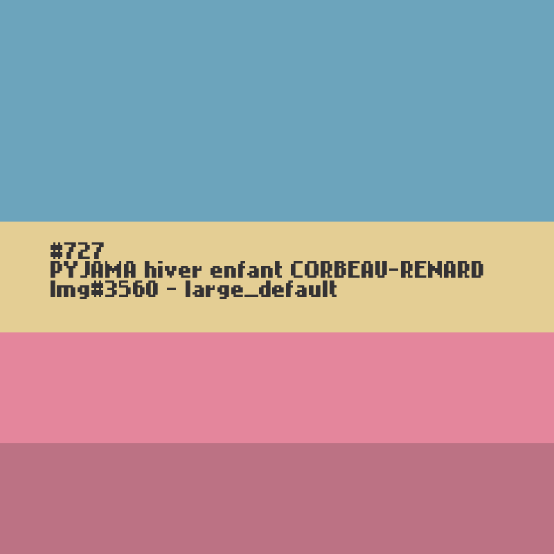 PYJAMA hiver enfant CORBEAU-RENARD