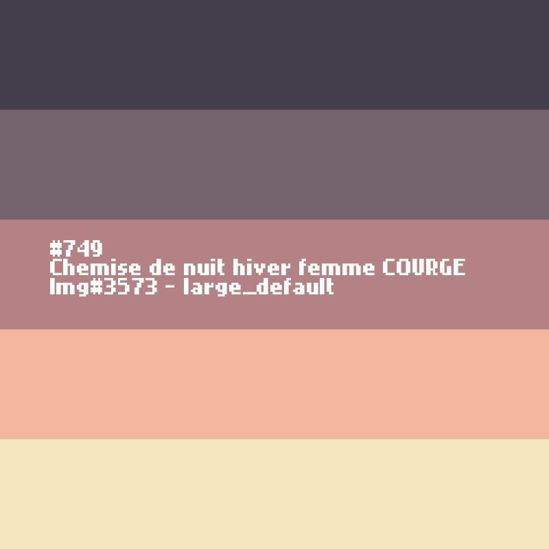 Chemise de nuit hiver femme COURGE