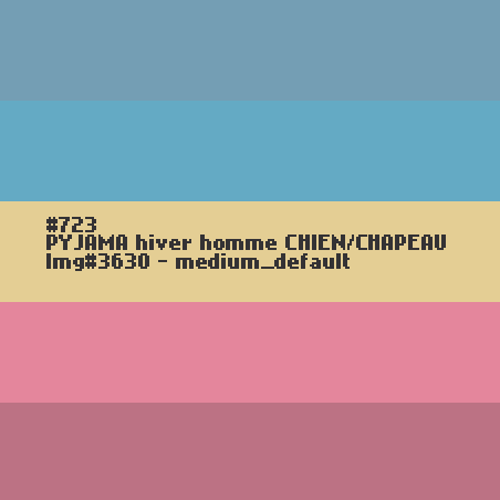 PYJAMA hiver homme CHIEN/CHAPEAU