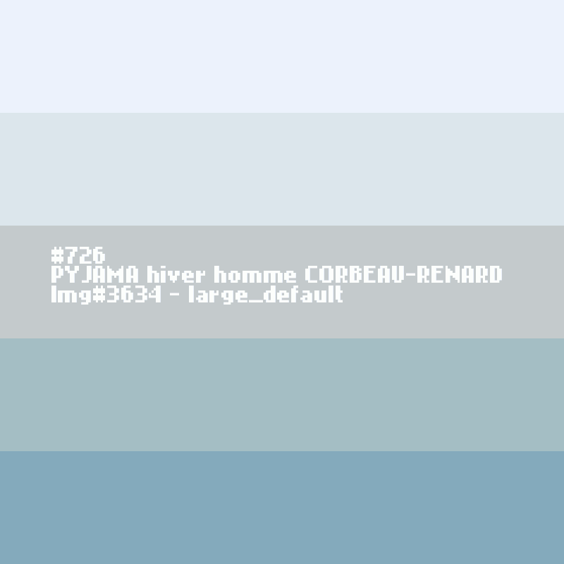 PYJAMA hiver homme CORBEAU-RENARD