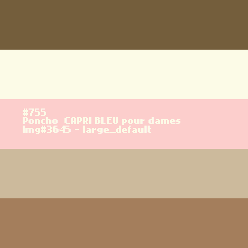 Poncho BLAUW voor dames