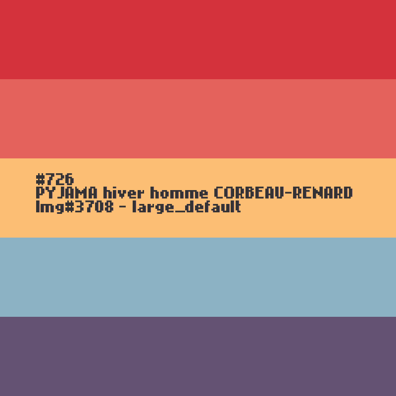 Winter pyjama voor heren  CORBEAU-RENARD (Vos-Raaf)