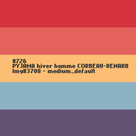 PYJAMA hiver homme CORBEAU-RENARD