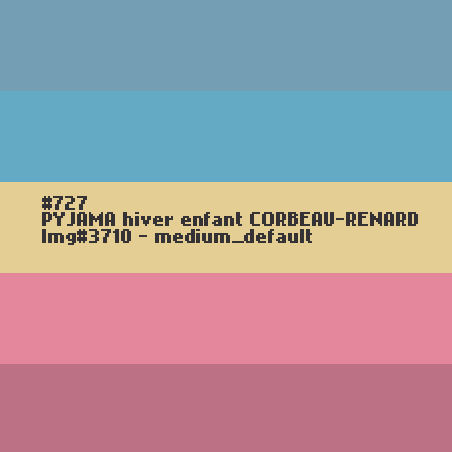 PYJAMA hiver enfant CORBEAU-RENARD