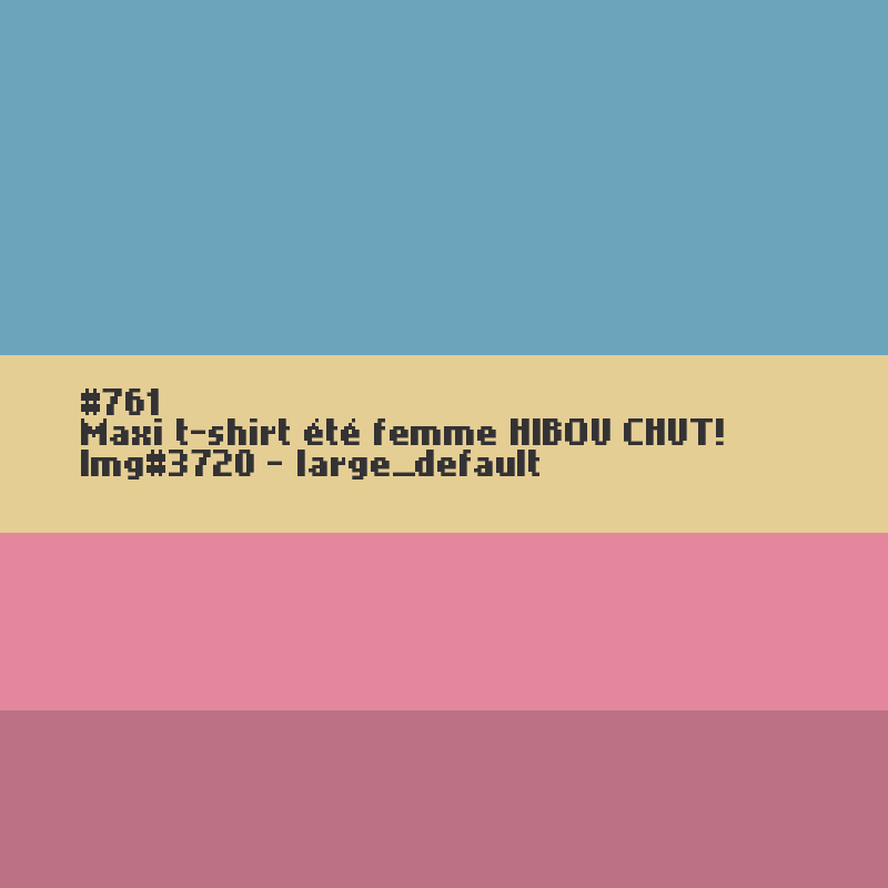 Maxi t-shirt femme court Hibou Chut !