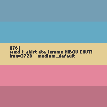 Maxi t-shirt femme court Hibou Chut !