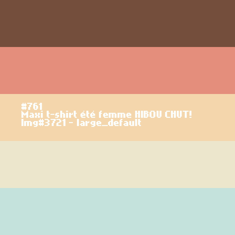 Maxi t-shirt voor meisjes HIBOU. CHUT !
