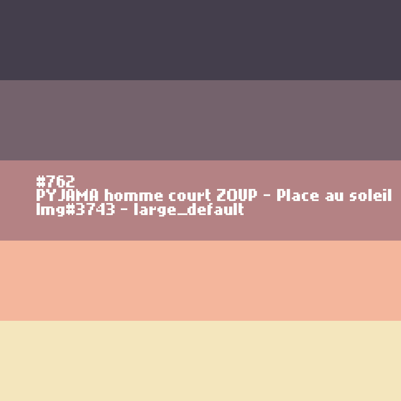 PYJAMA homme court ZOUP - Place au soleil