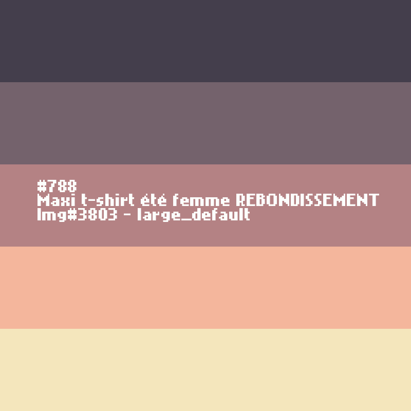 Maxi t-shirt femme REBONDISSEMENT