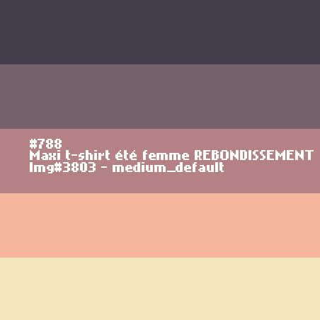 Maxi t-shirt femme REBONDISSEMENT