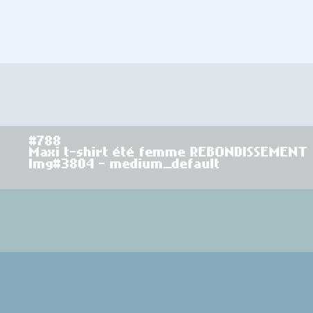 Maxi t-shirt femme REBONDISSEMENT