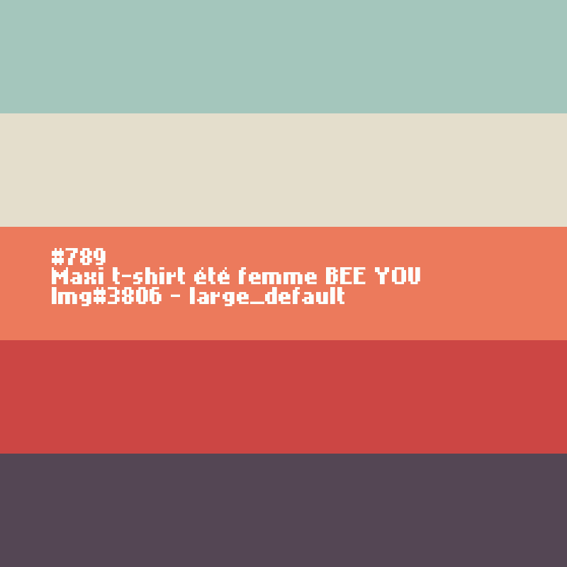 Maxi t-shirt femme BEE YOU