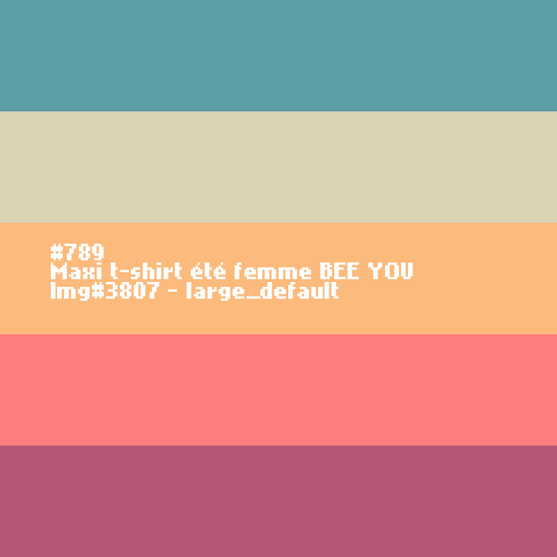 Maxi t-shirt femme BEE YOU