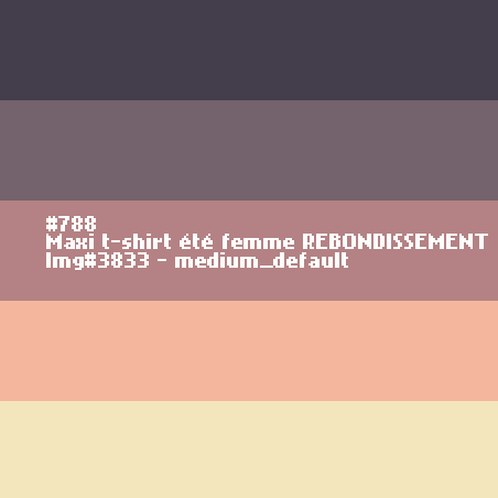 Maxi t-shirt voor dames REBONDISSEMENT