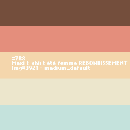 Maxi t-shirt femme REBONDISSEMENT