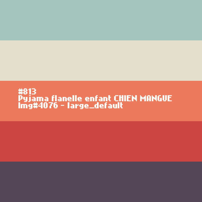 Pyjama flanelle enfant Chien mangue.