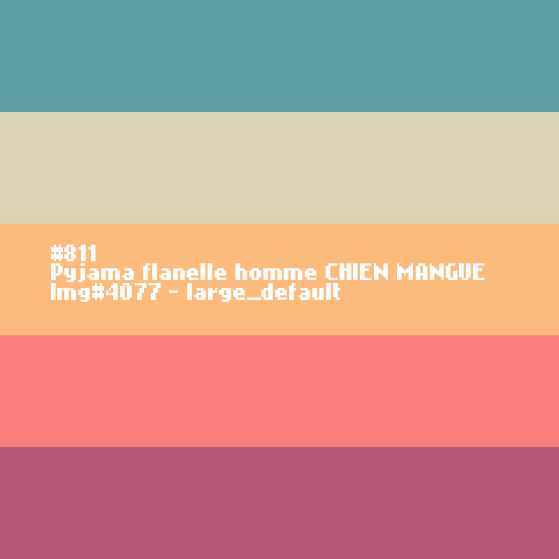 Pyjama flanelle homme Chien mangue