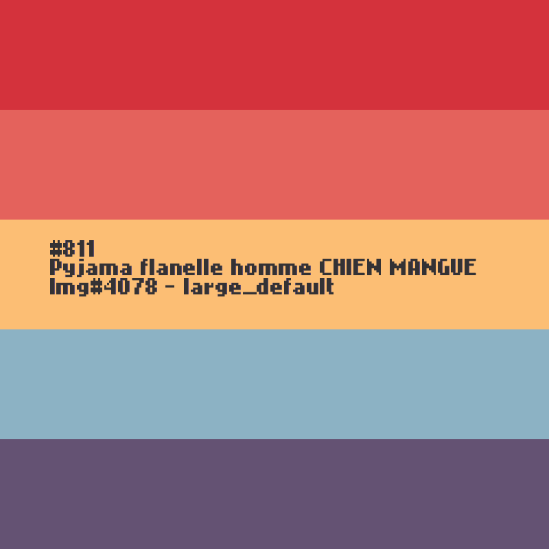 Pyjama flanelle homme Chien mangue