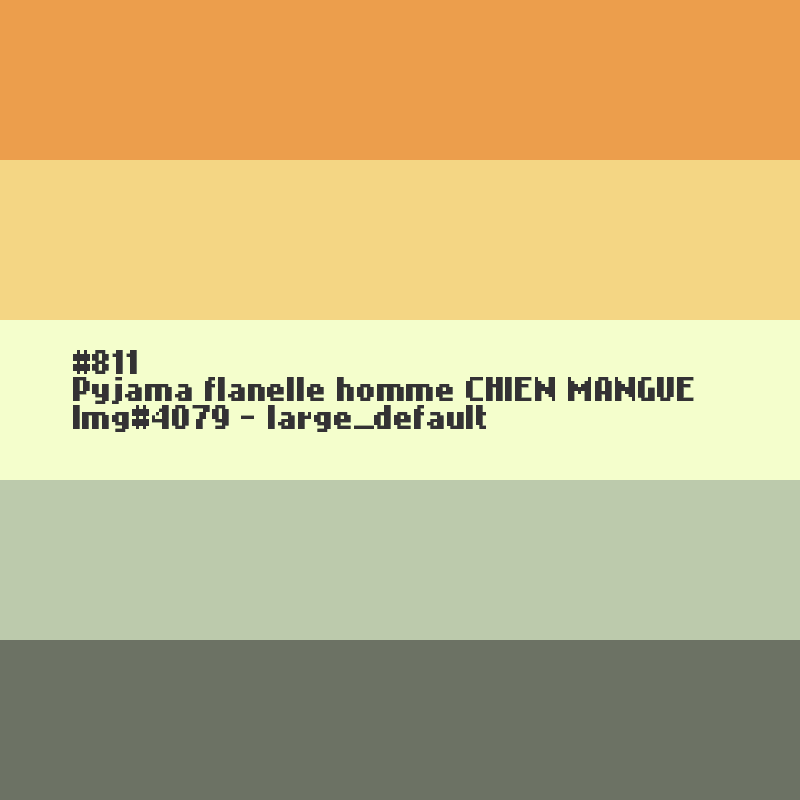 Pyjama flanelle homme Chien mangue