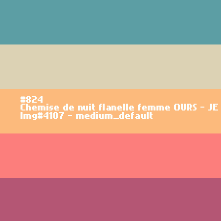 Chemise de nuit flanelle femme OURS - JE FONDS