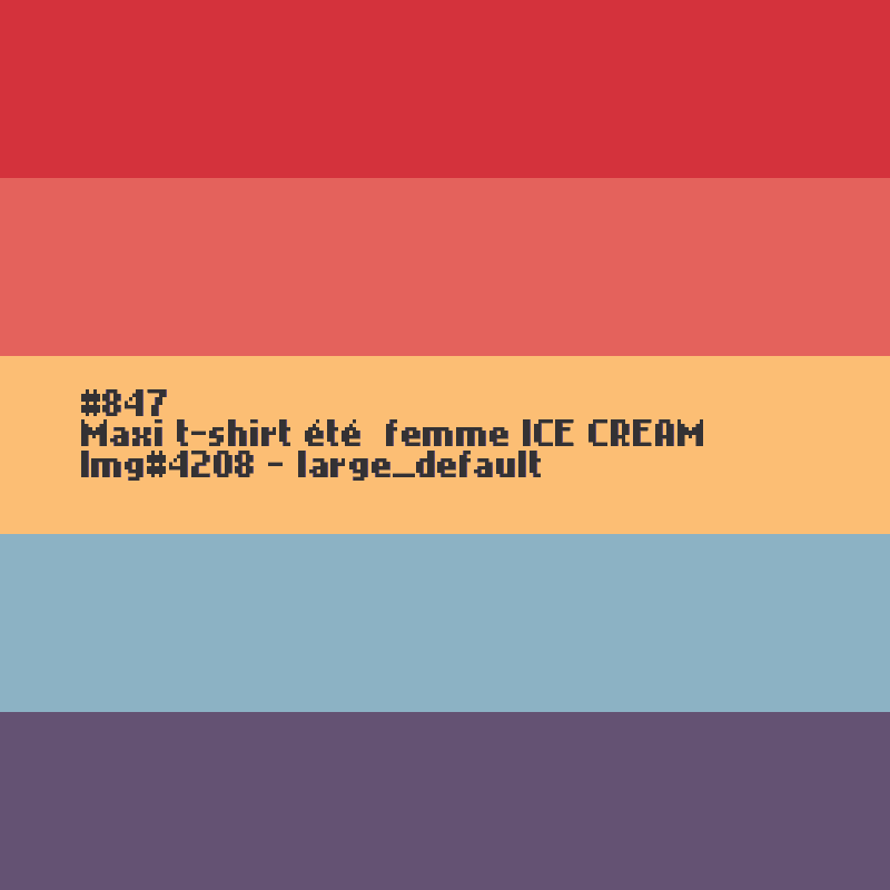 Maxi t-shirt femme ICE CREAM