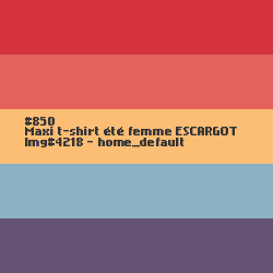 Maxi t-shirt femme Escargot