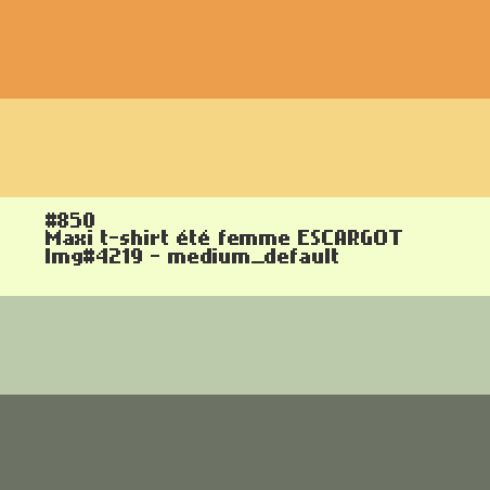 Maxi t-shirt femme Escargot