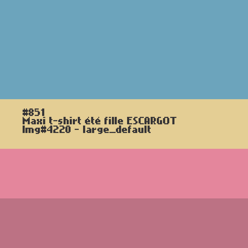 Maxi t-shirt voor meisjes ESCARGOT