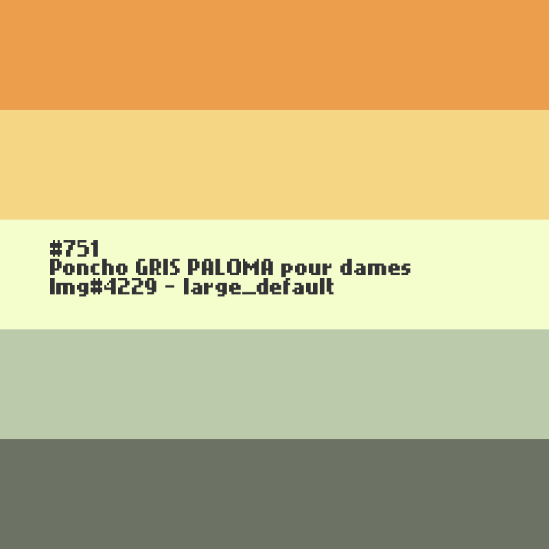 Poncho Paloma grey voor dames