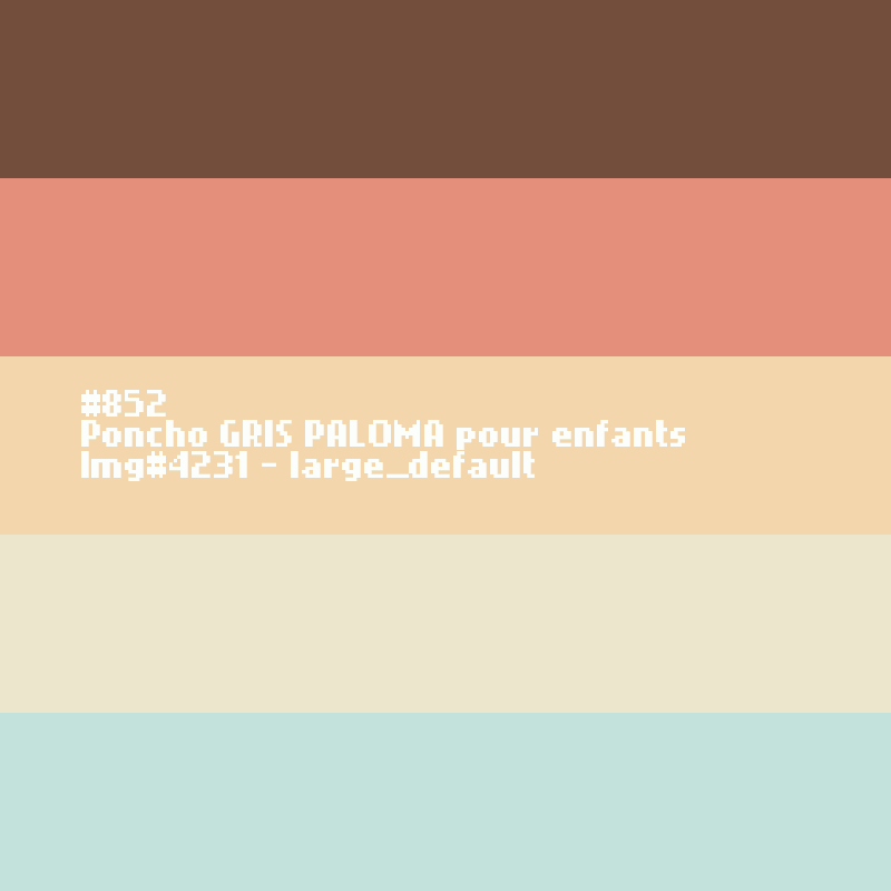 Poncho TERRACOTTA voor DAMES