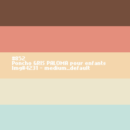 Poncho Terracotta pour dames