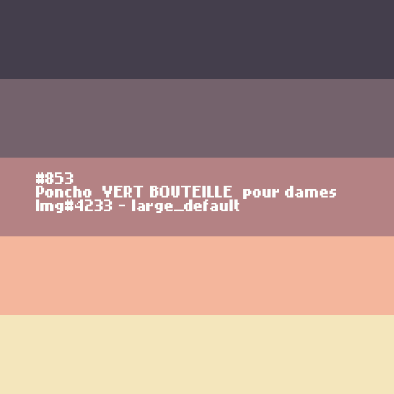 Poncho  Vert bouteille  pour dames