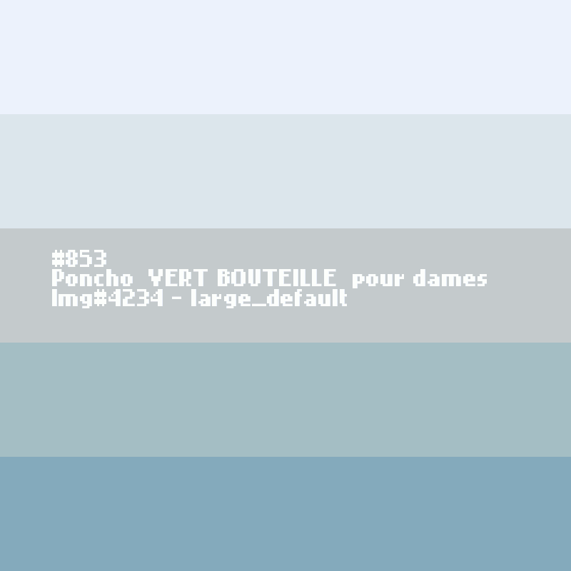 Poncho  Vert bouteille  pour dames